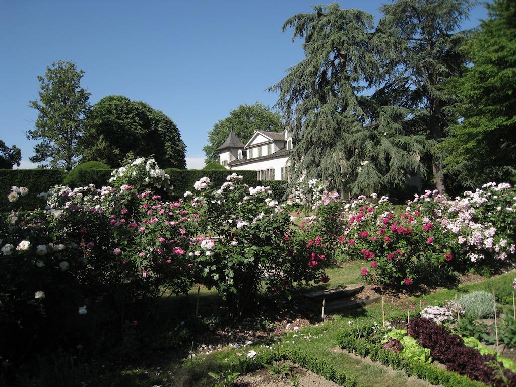 Chateau De Veigy Hotel Exterior photo